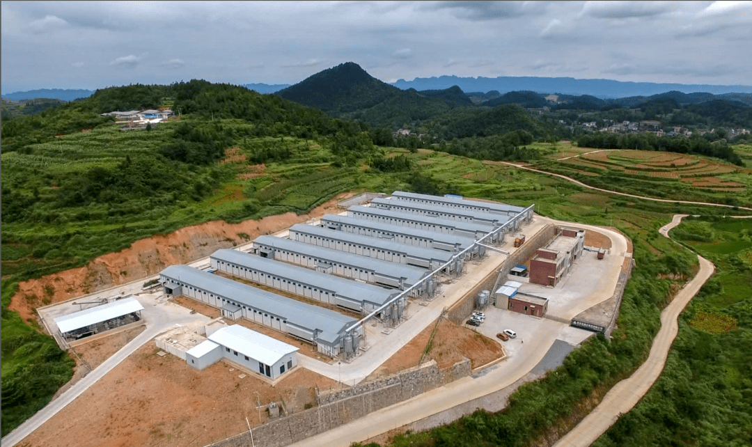 联动,做大经济总量,推动高质量发展"思路,坚持"高端化,集约化,绿色化