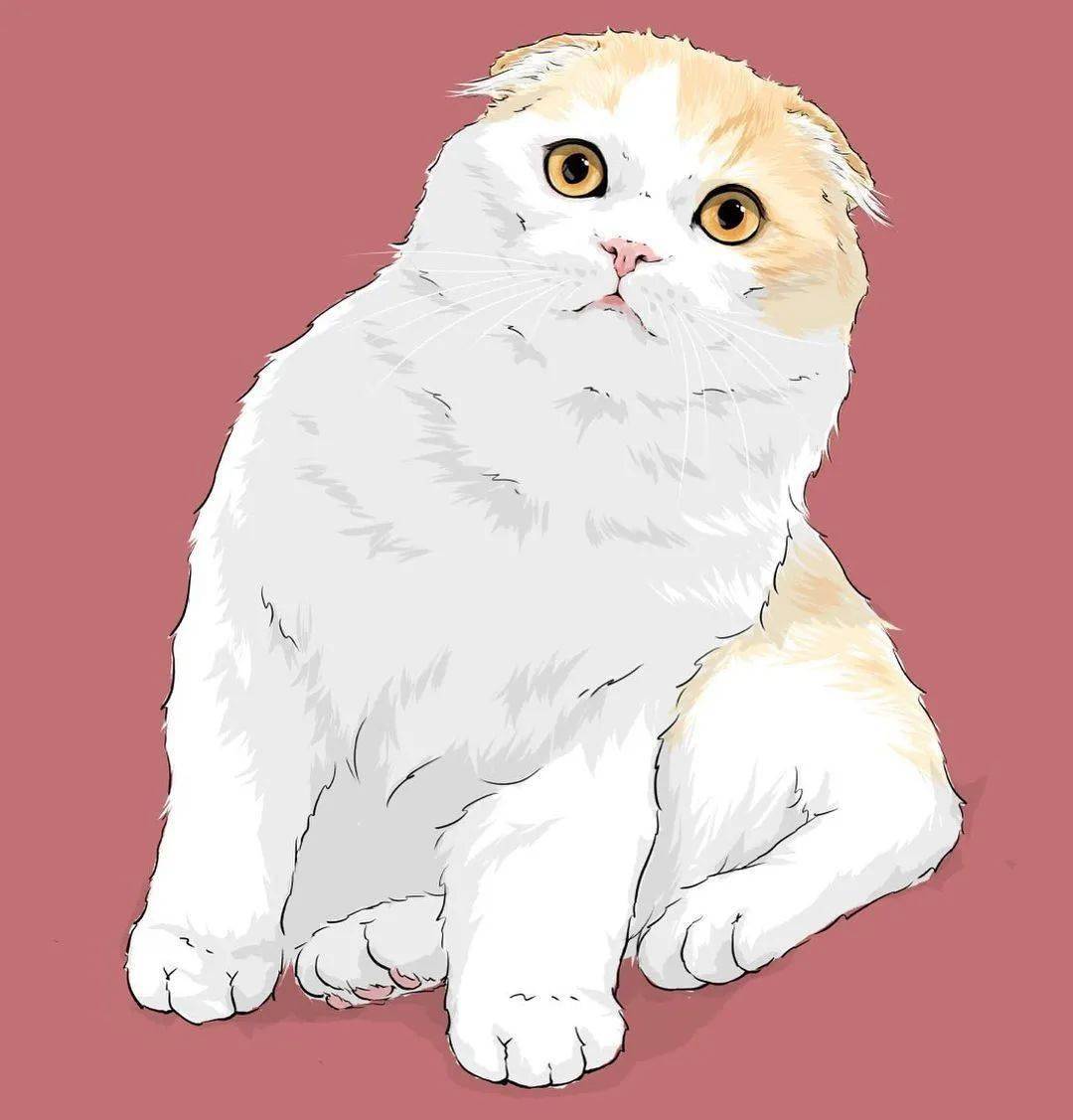 进来让小奶猫治愈一下你吧