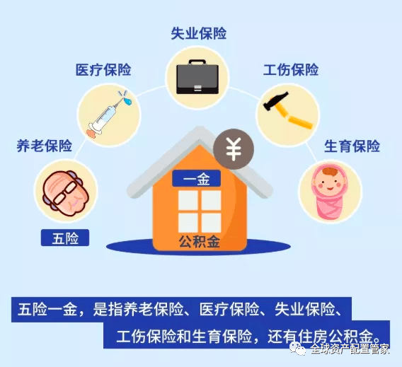 2021年人口老龄化_人口老龄化近几年图(3)