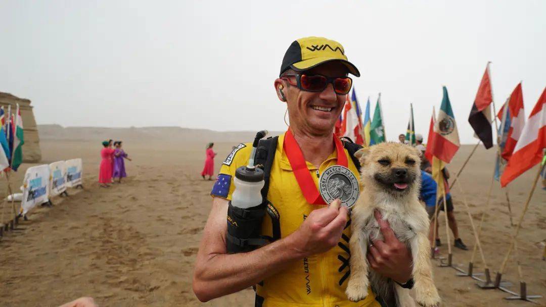 一只流浪狗教会了他爱与责任还有不离不弃故事汇寻找gobi