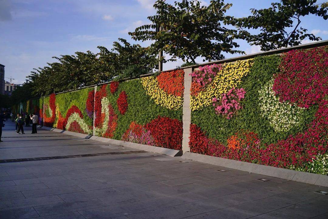 了花墙和立体花坛相结合的手法,八朵用角堇,红绿草打造的大型"花朵"