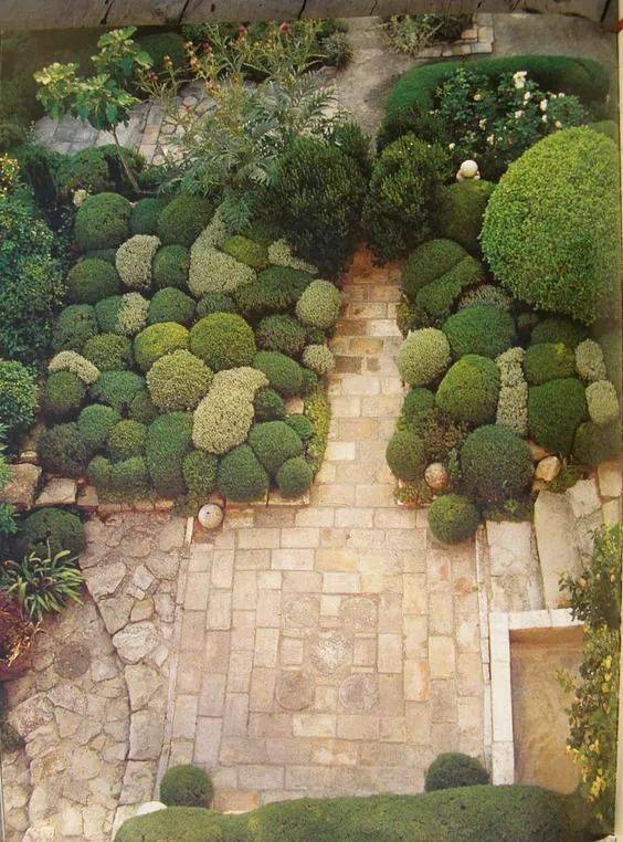 如果不知道种什么,那就种个"球"吧!_景观