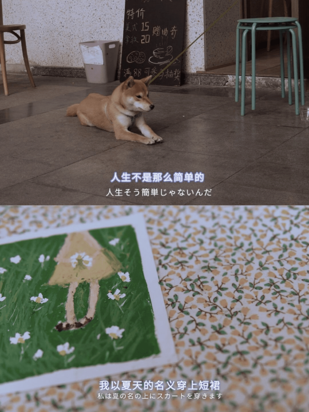 7cba02b480a445088adac65891d820ae.png