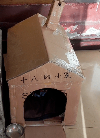 冰天雪地里有個小傢伙在瑟瑟發抖，走近一看原來是…… 萌趣萌寵 第4张
