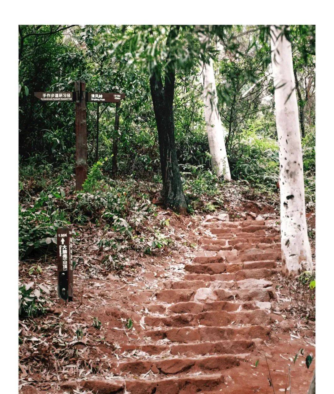 深圳首条手作步道来了这里也太太太适合登山了吧