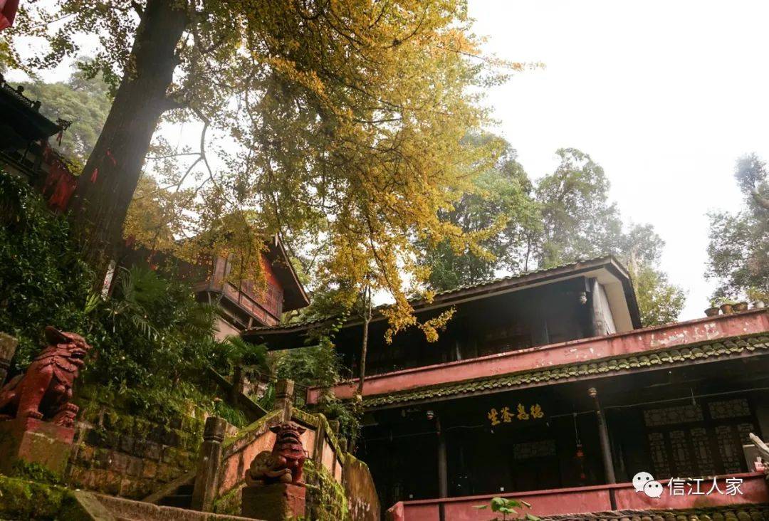 成都：道教名山青城山_天师
