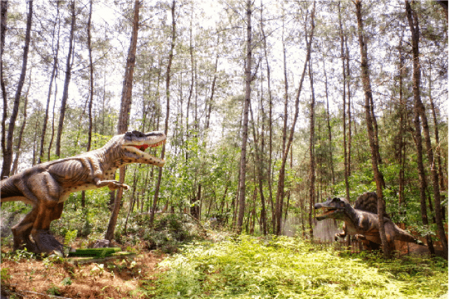 柳州新景点太阳村龙宝宝乐园免预约首条彩虹滑道等你来挑战特价门票