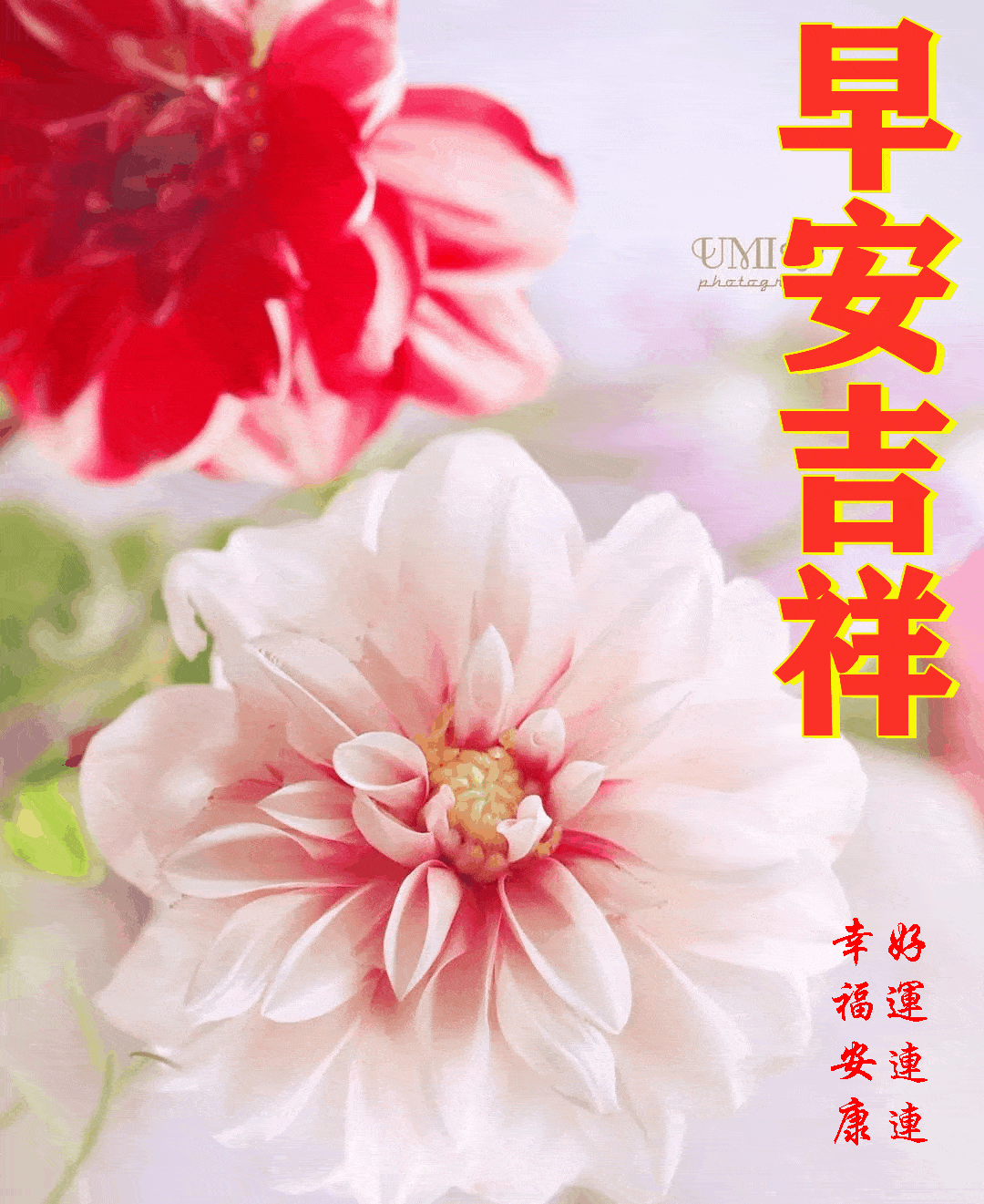 2021124周日愉快《早安心语》