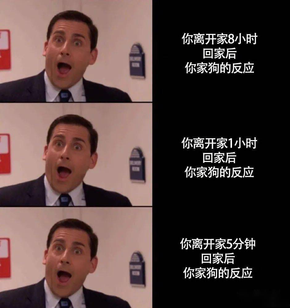 "在x宝买了条人鱼色连衣裙,试穿发给男友后…"沙雕直男:玩儿这么野的