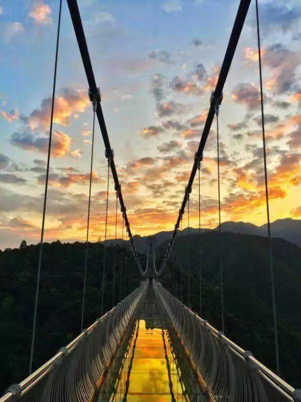 【特价门票仅89元】春节通用,三门潘家小镇:情人谷 "12d"玻璃景观悬索