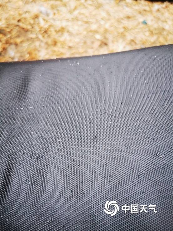 北京冬雪飞舞飘扬（图）