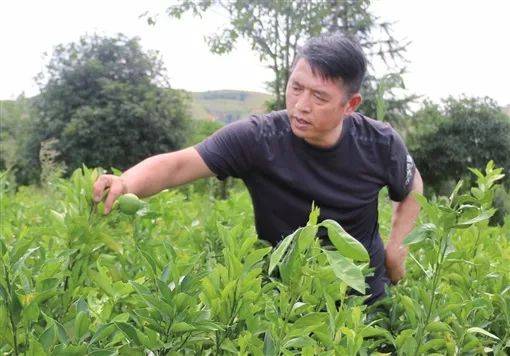 刘祖治 通讯员 摄【人物素描】刘祖治,省政协委员