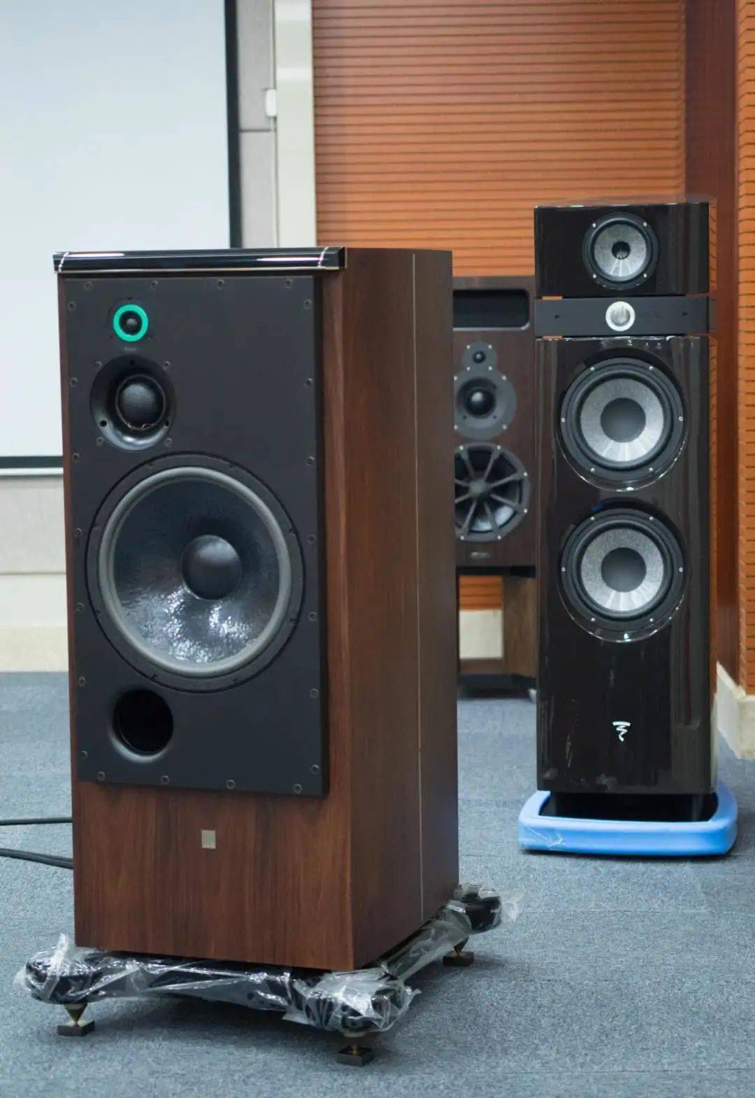 驱动英系扬声器真实还原有音乐画面德国aamonoii单声道后级