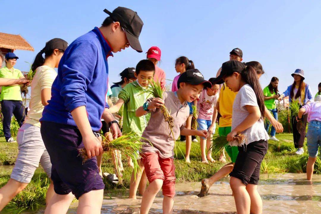 体验农耕乐趣流连田园风光感受民俗风情相约三亚田园乐趣多