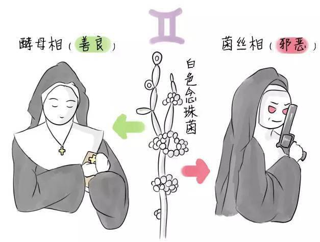 女性阴.道详细说明书，只此一份！请好好收藏！