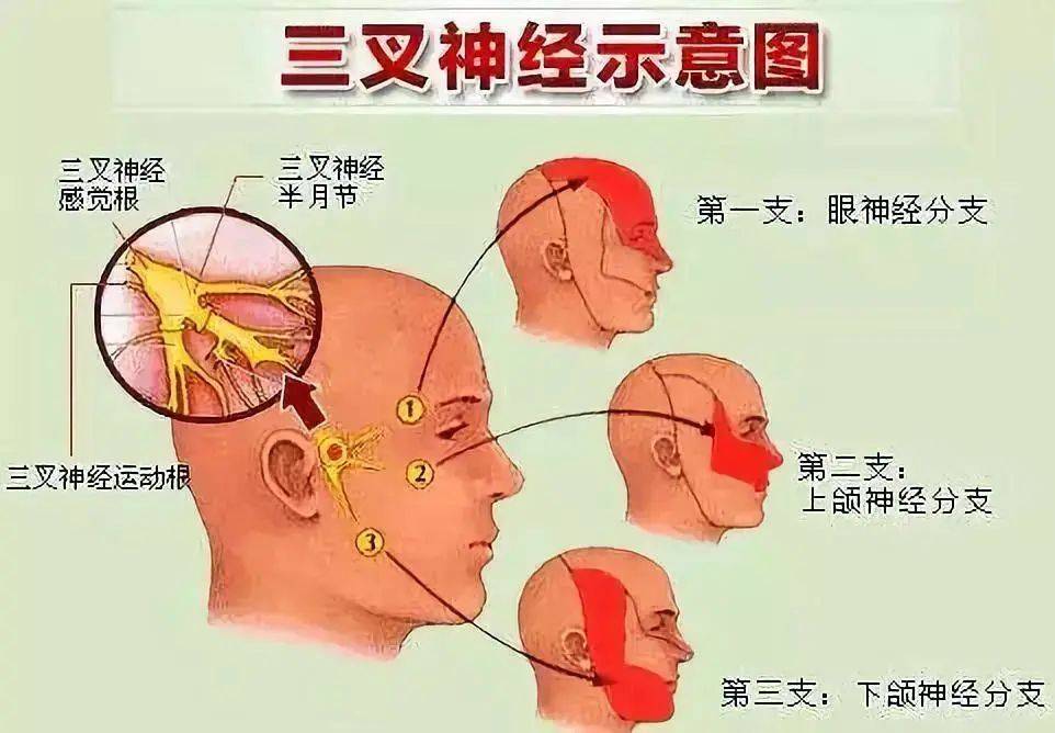 肩膀痛竟是心脏病 腿无力易猝死 这些常见症状背后不简单 艾灸治