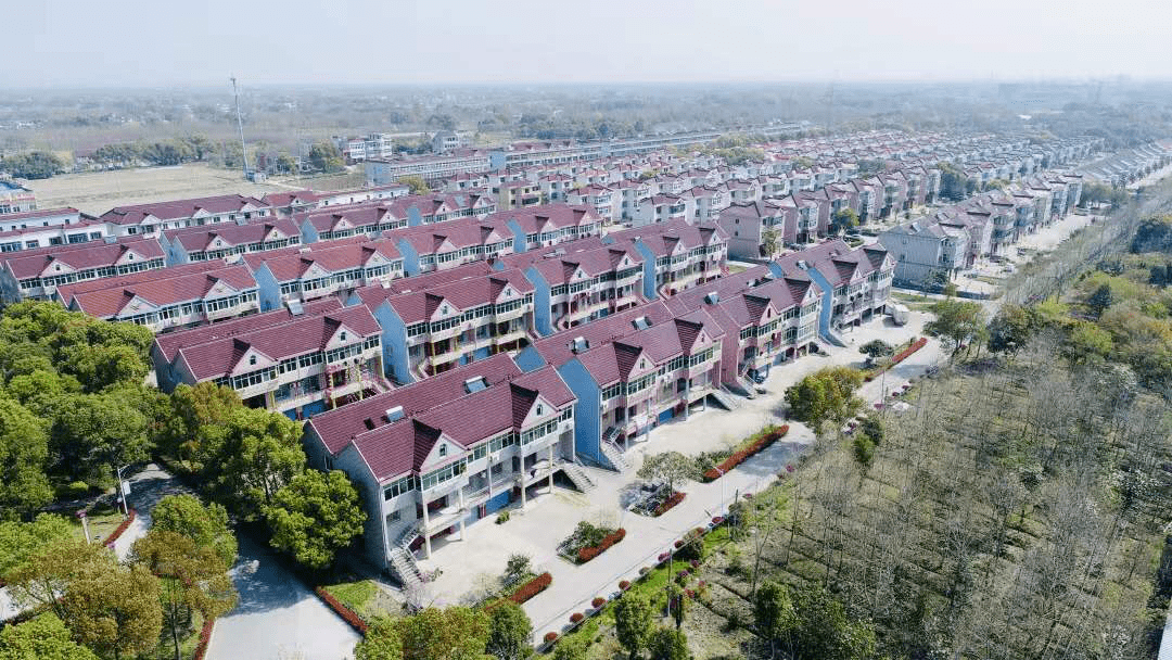 浙江农村,能有多豪华?_房子