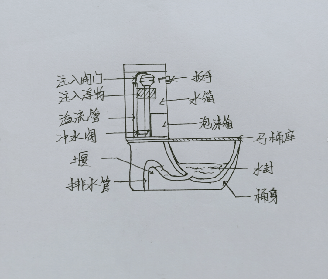 马桶排水阀结构图图片