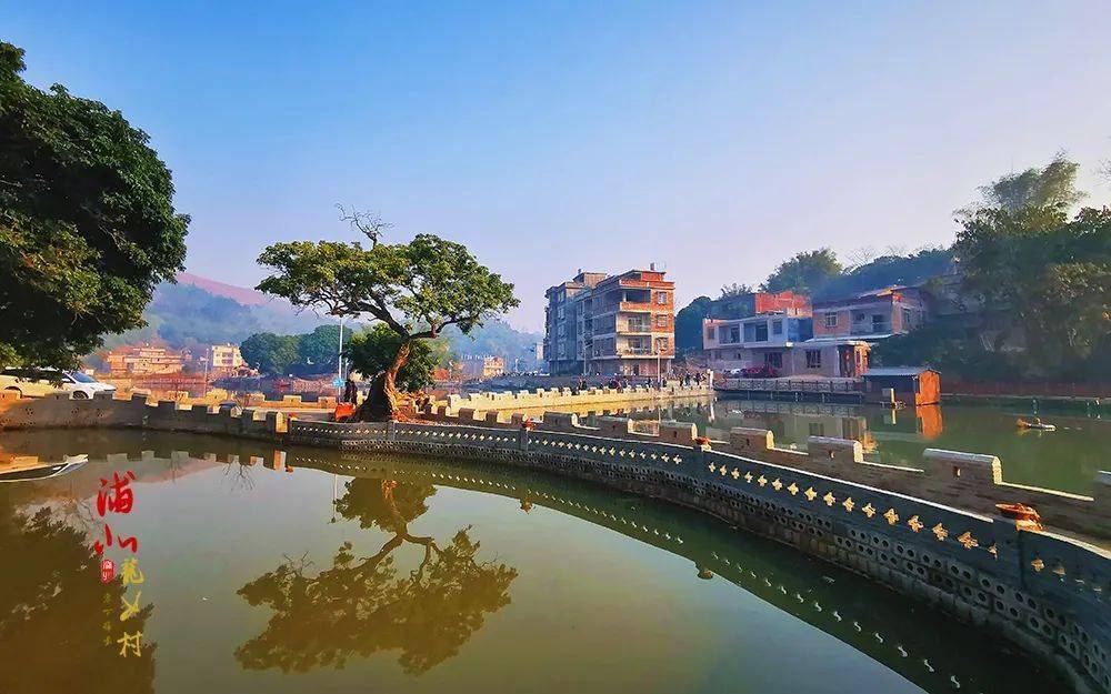 为何乐民龙女村那么美?_乐民镇