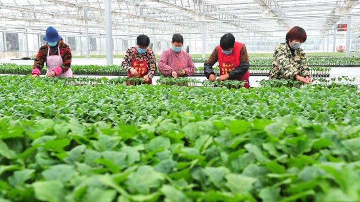 睢宁品牌策划：打造城市名片的新思路