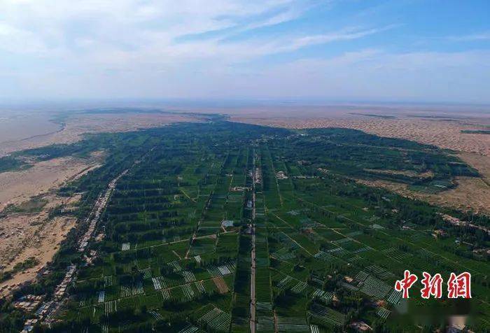 甘肃通报调查结果:敦煌阳关林场违规砍树?有,3立方米;树干被烧?