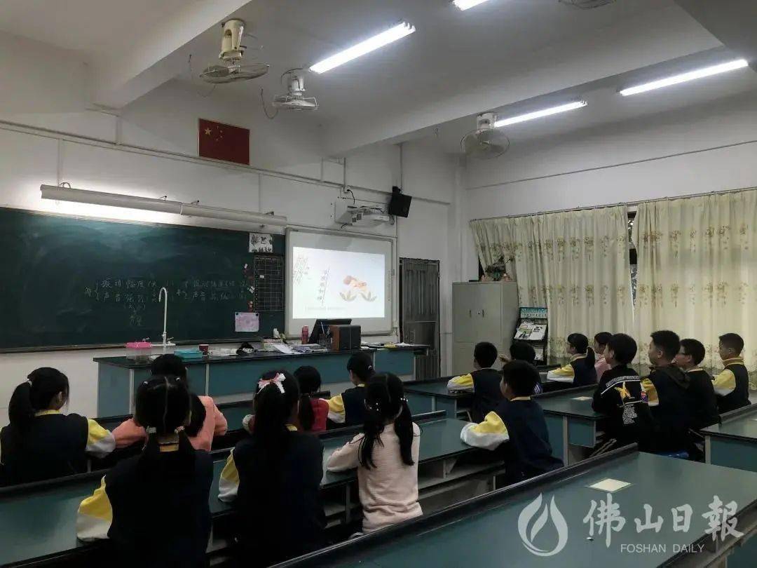 38个品种中草药南庄镇中心小学有个宝藏百草园