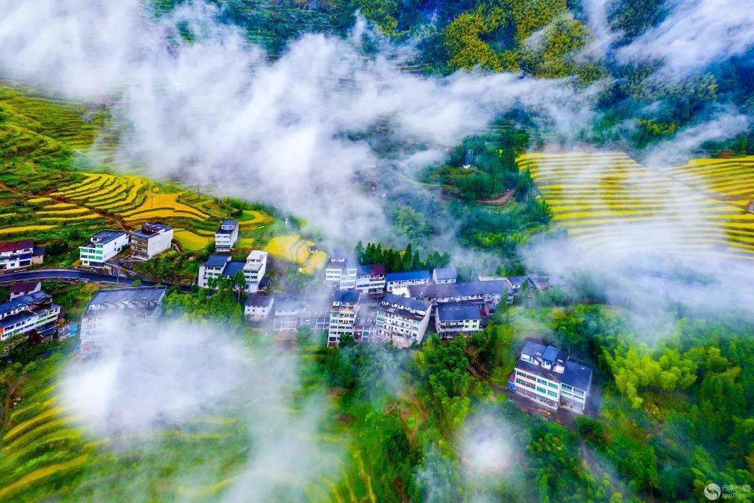 吴艳萍《鸭河风光》作者:笑笑《穿越时空》作者:舞钢秋枫《退潮》作者