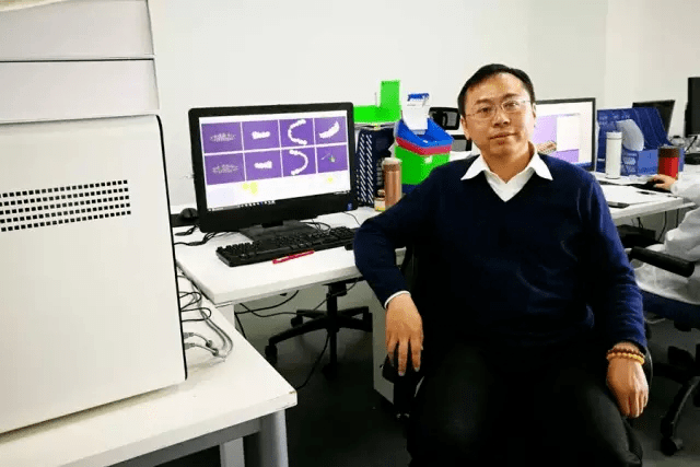 创业张江丨牙典医疗:划时代的正畸软件_田烨