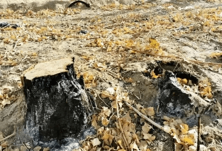 欲守敦煌先守阳关