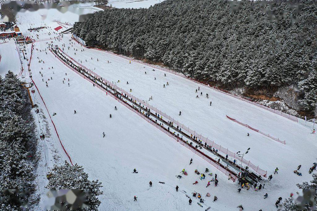 沈阳奥体滑雪场图片