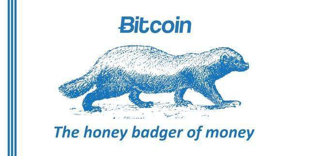 近期值得留意的潜力币种–badgerdao