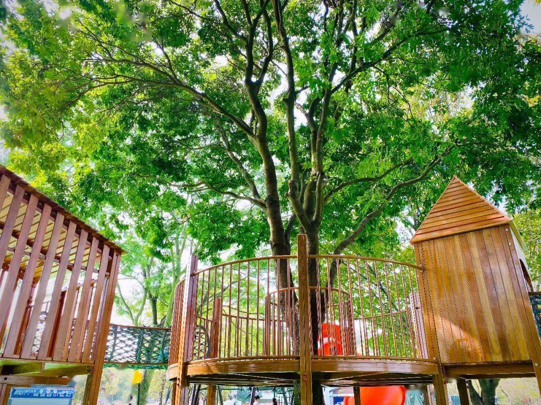 小木屋超可爱东莞植物园内这个儿童公园开放啦