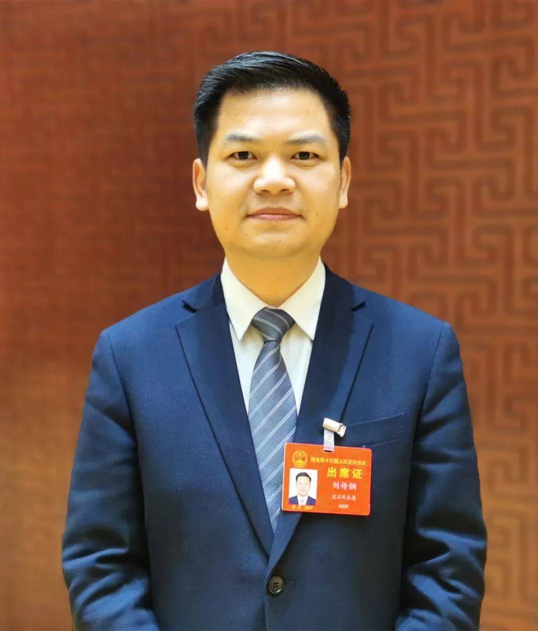 湖北省人大代表,当阳市委副书记,市长刘传钢2020年以来,当阳把优化营