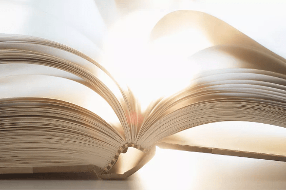 《枪墓》《双河》都采用了"我"作为小说家给其他角色叙述未完成的小说