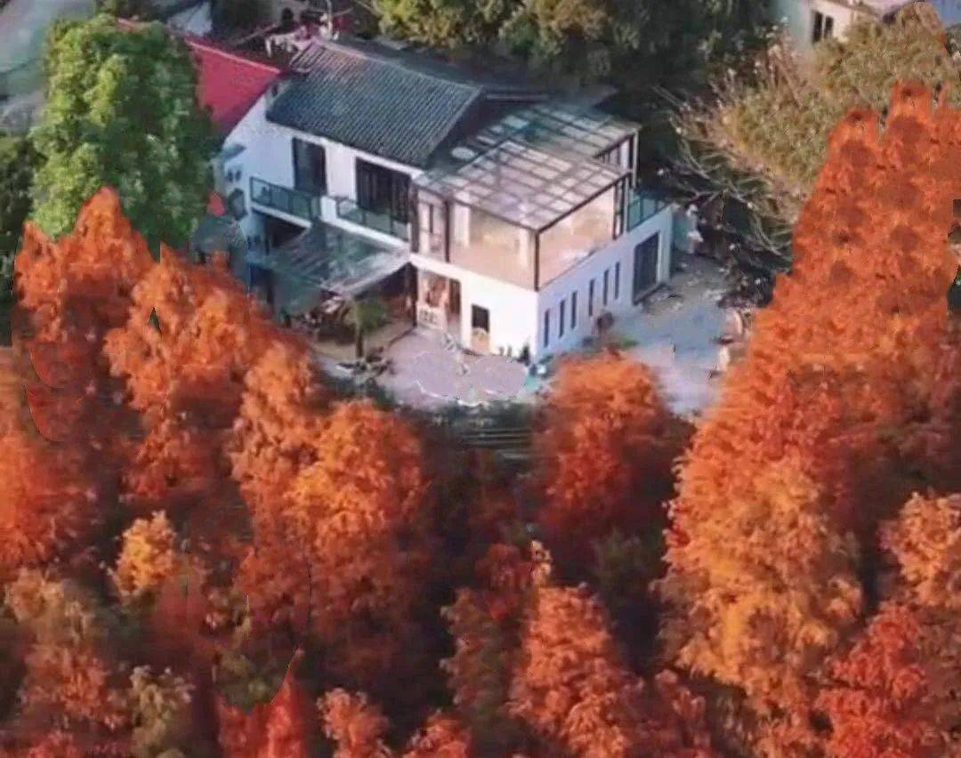 我在闫老师的小院等你