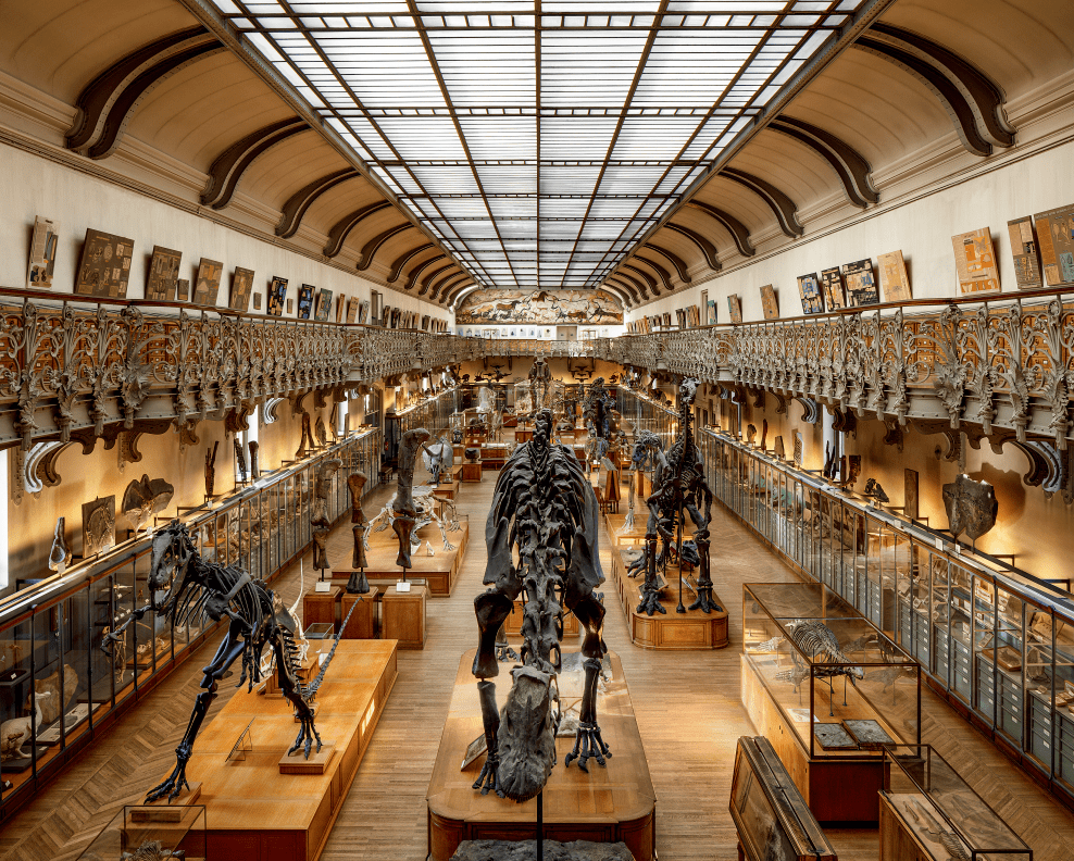 欢迎来到奇妙博物馆世界