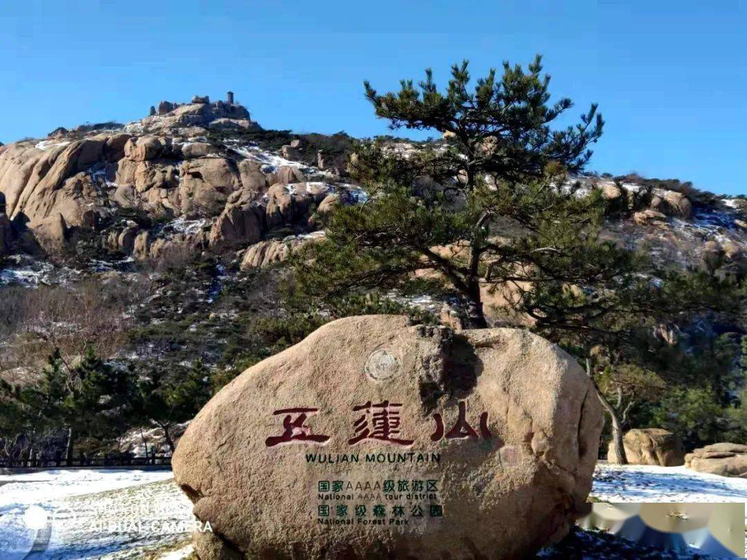 五莲人日照放大招了留下过年可以