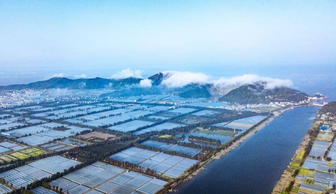 关注金清水系金清大港及支流整治工程有序推进