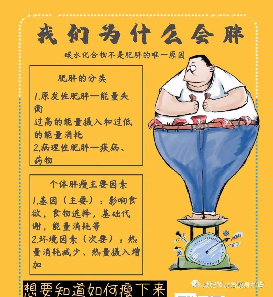 是什么原因导致你肥胖的