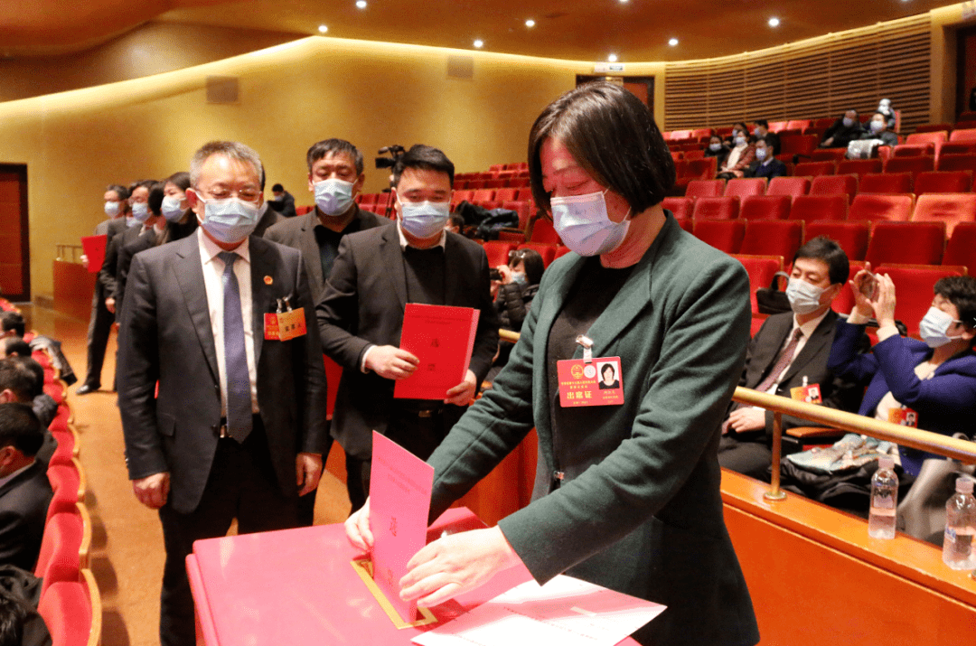 任振鹤当选甘肃省人民政府省长._鹤峰