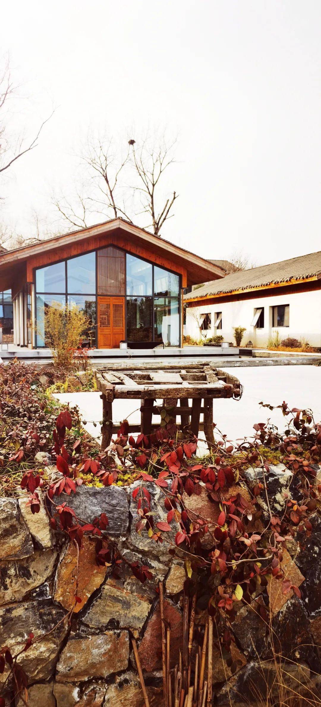 圩美61磨滩最新美图来袭将诗和远方融入田园梦