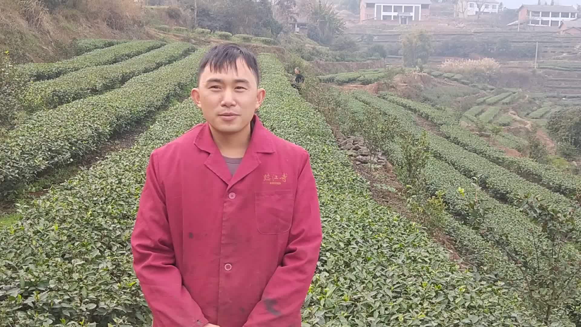 video resolutionvideo durationvideo load failed自贡网记者 曾鹏程