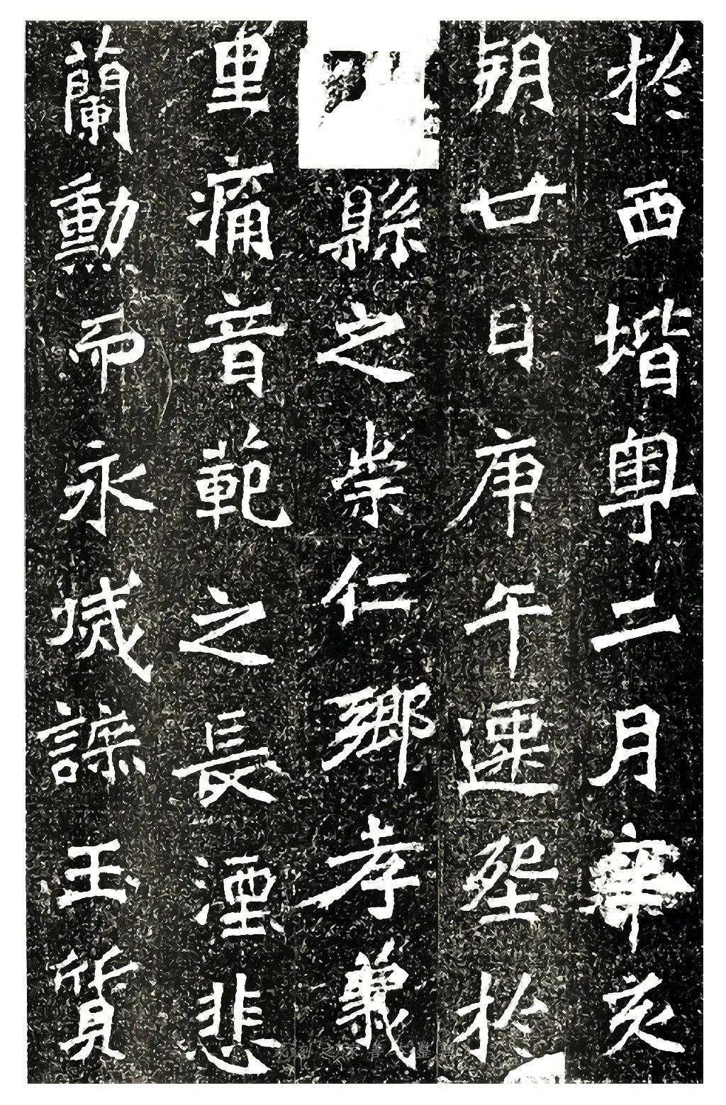 历代碑刻|北魏《高道悦夫人墓志》