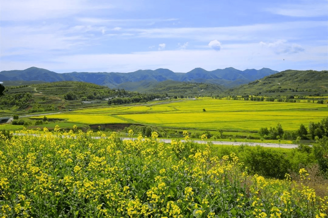 山海情裡的西海固大變樣美景美食都值得你細細品味