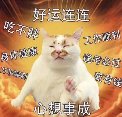 4fafeb39eeae479b86ab828053d7c794.jpeg