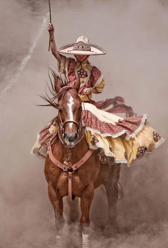 骑马动态摄影参考970张_素材