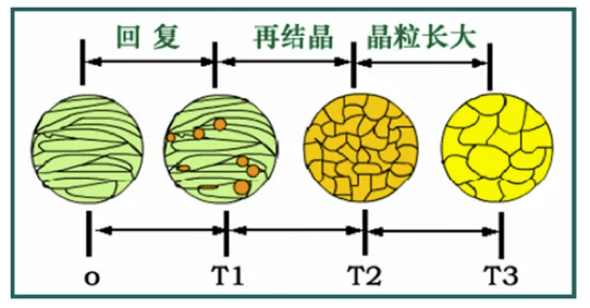 值得收藏一文看懂回复与再结晶
