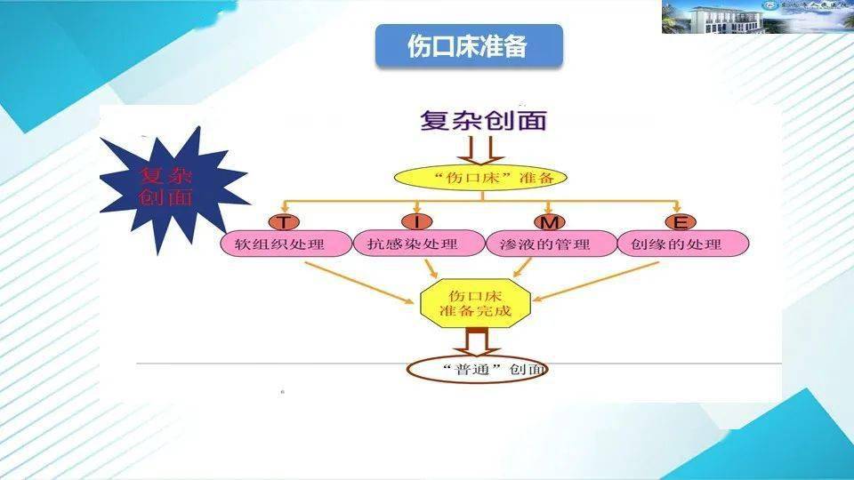 伤口个案一例烫伤感染伤口的个案护理