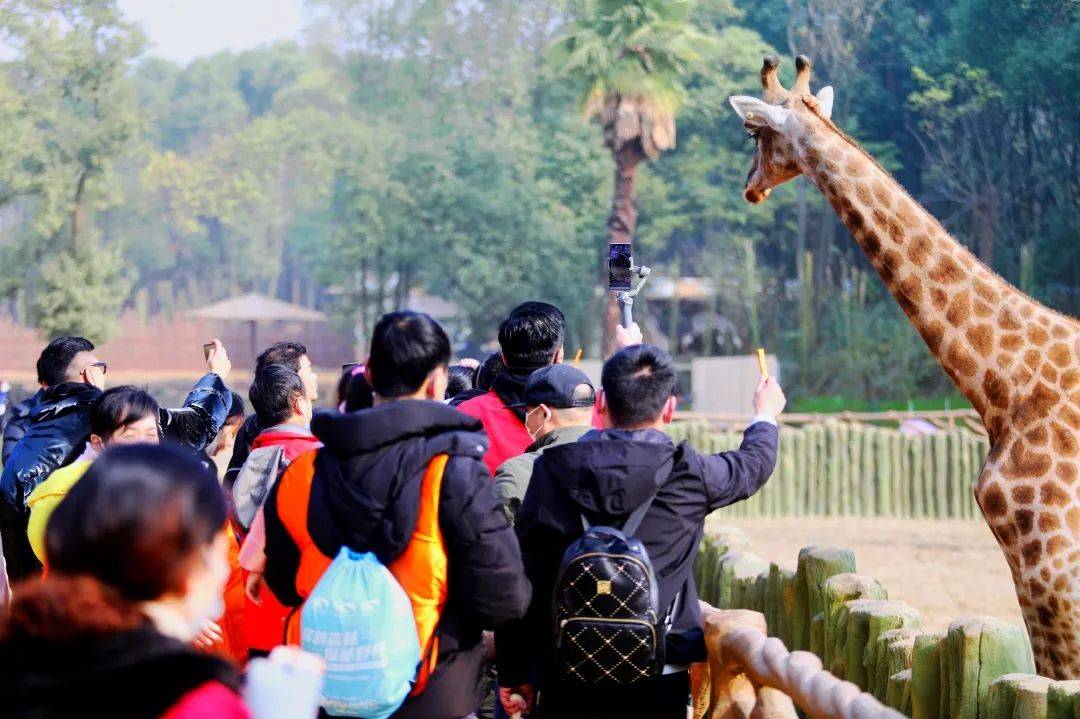 武汉多少人口2021_武汉人口增长趋势图(2)