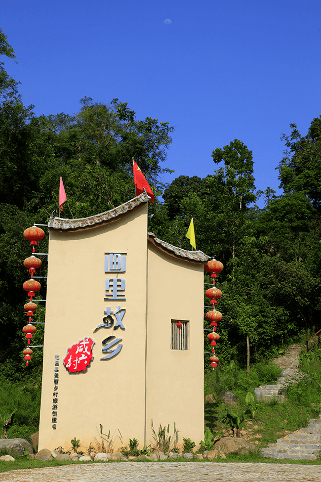 屯昌的南坤镇有个古村落,名为美鹤园村,小小的村落被郁郁葱葱的竹林